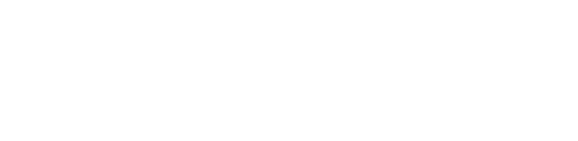 HOWARD WERNER